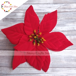 Poinsettia flower Red Velvet