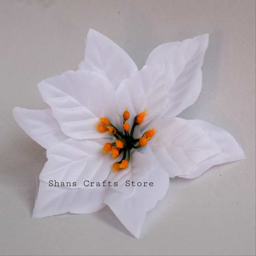 Pointsettia Flower