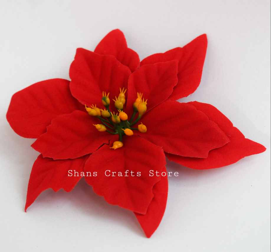 Pointsettia Flower