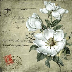 12x12 Scrapbook paper Pack - Image 4